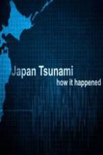 Watch Japan Tsunami: How It Happened 123movies
