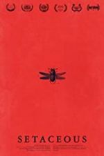 Watch Setaceous 123movies