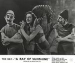 Watch A Ray of Sunshine: An Irresponsible Medley of Song and Dance 123movies
