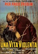 Watch Violent Life 123movies