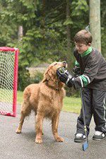 Watch Deck the Halls 123movies