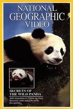 Watch Secrets of the Wild Panda 123movies