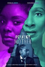 Watch The Perfect Mother 123movies