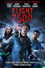 Watch Flight 7500 123movies