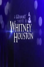 Watch We Will Always Love You A Grammy Salute to Whitney Houston 123movies