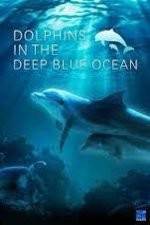 Watch Dolphins in the Deep Blue Ocean 123movies