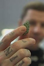 Watch Professor Green: Is It Time to Legalise Weed? 123movies