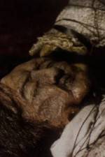 Watch The Separation 123movies