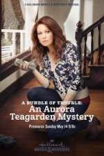 Watch A Bundle of Trouble: An Aurora Teagarden Mystery 123movies