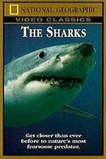 Watch National Geographic The Sharks 123movies