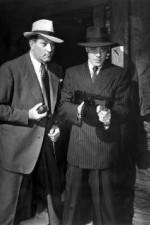 Watch No Orchids for Miss Blandish 123movies