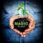 Watch The Magic Plant 123movies