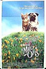 Watch Milo and Otis 123movies