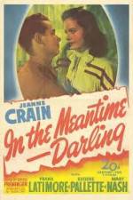 Watch In the Meantime Darling 123movies