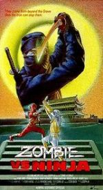 Watch Zombie vs. Ninja 123movies