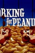 Watch Working For Peanuts 123movies