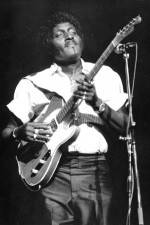 Watch Albert Collins in Concert 123movies