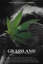 Watch Grassland 123movies