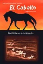Watch El Caballo: The Wild Horses of North America 123movies