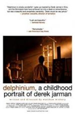Watch Delphinium: A Childhood Portrait of Derek Jarman 123movies