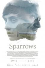 Watch Sparrows 123movies