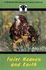 Watch Twixt Heaven and Earth 123movies