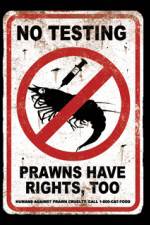 Watch Wikus and Charlize 123movies