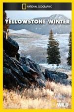 Watch National Geographic Yellowstone Winter 123movies
