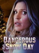 Watch Dangerous Snow Day 123movies