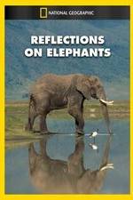 Watch Reflections on Elephants 123movies