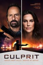 Watch Culprit 123movies