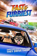 Watch Fast and Furriest 123movies