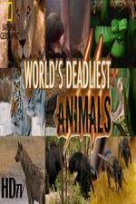 Watch National Geographic - Worlds Deadliest Animal Battles 123movies