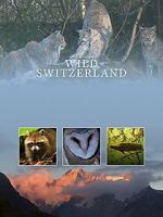 Watch Wilde Schweiz 123movies