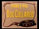 Watch Dog Collared (Short 1950) 123movies