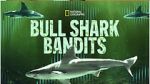 Watch Bull Shark Bandits 123movies