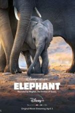 Watch Elephant 123movies