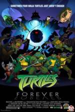 Watch Teenage Mutant Ninja Turtles Turtles Forever 123movies