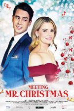 Watch Meeting Mr. Christmas 123movies