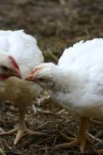 Watch Meet Your Meat 123movies