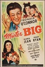 Watch Mister Big 123movies