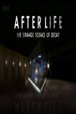Watch After Life: The strange Science Of Decay 123movies