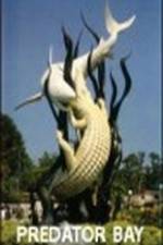 Watch Predator Bay 123movies