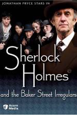 Watch Sherlock Holmes and the Baker Street Irregulars 123movies