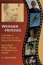 Watch Die große Ekstase des Bildschnitzers Steiner 123movies