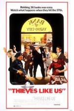 Watch Thieves Like Us 123movies