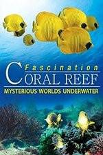 Watch Fascination Coral Reef: Mysterious Worlds Underwater 123movies