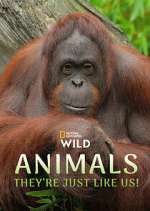 Watch Animals, They\'re Just Like Us! 123movies