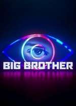 big brother season 1 episode 25 tv poster