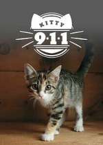 Watch Kitty 911 123movies